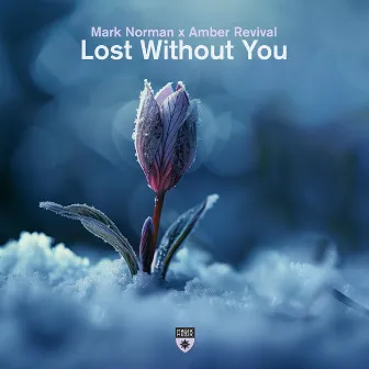 Lost Without You by Amber Revival