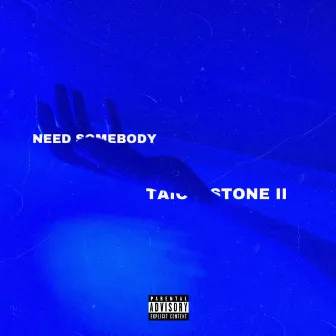 Need Somebody by Taiojr