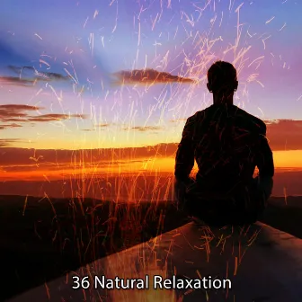 36 Natural Relaxation by Study Alpha Waves