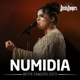 Beste Zangers 2023 (Numidia) by Numidia