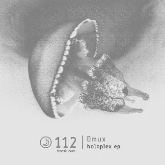 Holoplex EP by Dmux