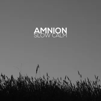 Slow Calm by Amnion