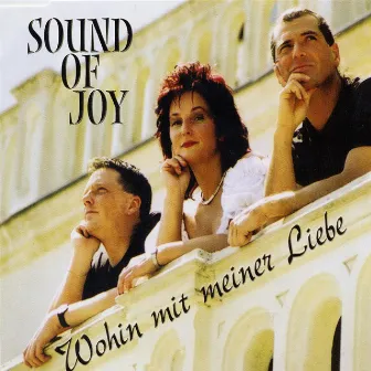 Wohin mit meiner Liebe by Sound Of Joy