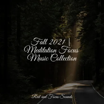 Fall 2021 | Meditation Focus Music Collection by Massagem Coleção de Músicas