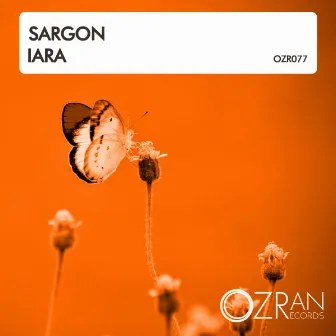 Iara by Sargon