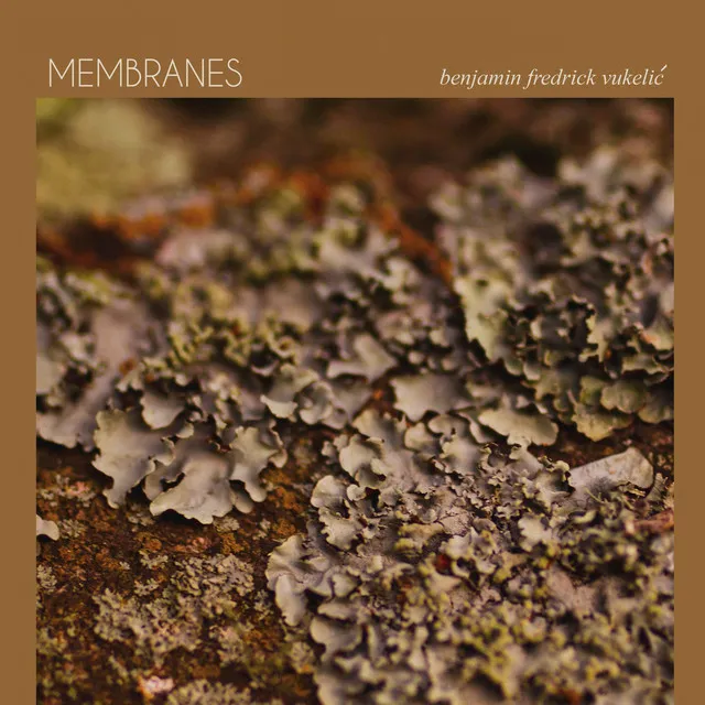 Membranes