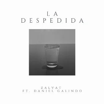 La Despedida by Zaly