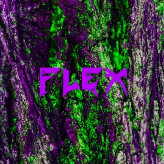 Flex by MP