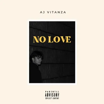 NO LOVE by AJ Vitanza