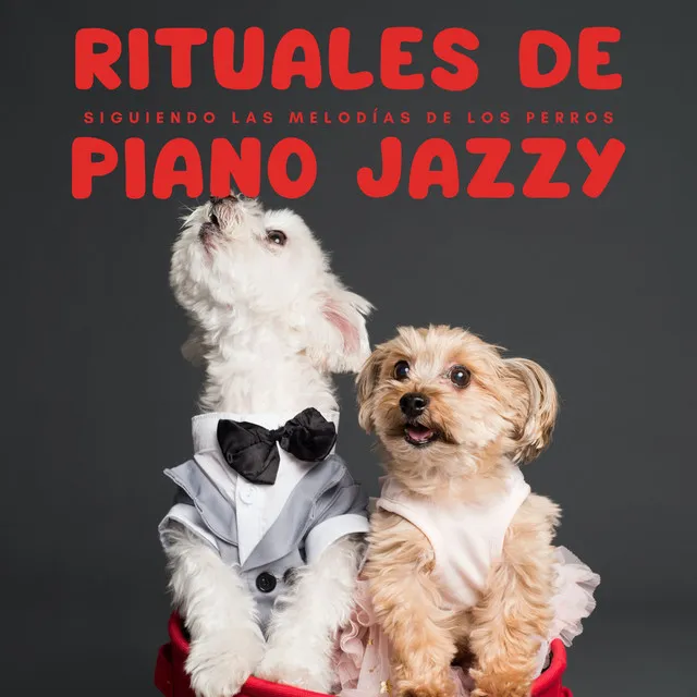 Rituales De Piano Jazzy: Siguiendo Las Melodías De Los Perros