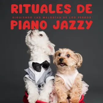 Rituales De Piano Jazzy: Siguiendo Las Melodías De Los Perros by Jazz café música