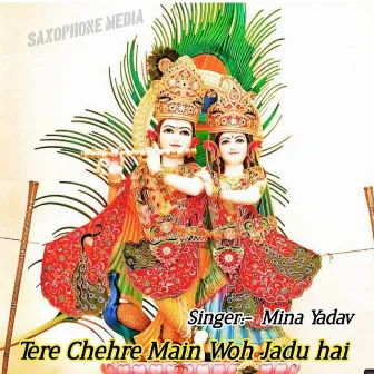 Tere Chehre Main Woh Jadu hai (Doi Music Alwar) by Mina Yadav