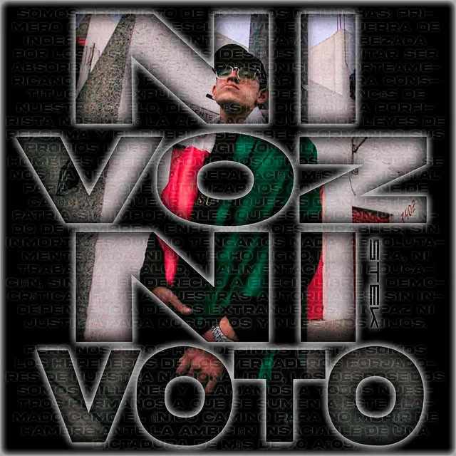 Ni Voz Ni Voto