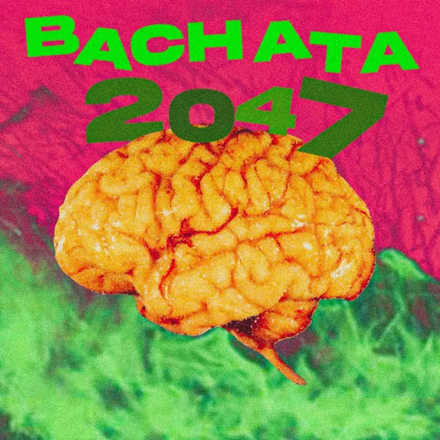 BACHATA 2047