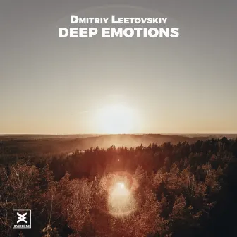 Deep Emotions by Dmitriy Leetovskiy