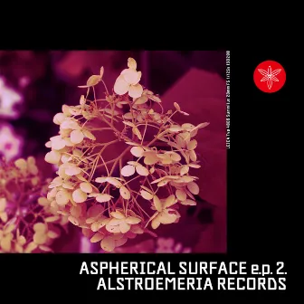 Aspherical Surface e.p.2 by Alstroemeria Records