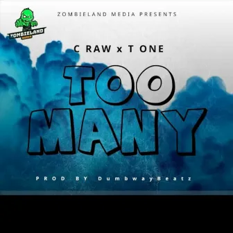 Too Many by C Raw