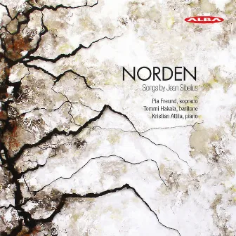 Norden: Songs by Jean Sibelius by Tommi Hakala