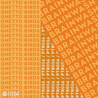 Brainwash (Radio Edit) by Ghetto Birds