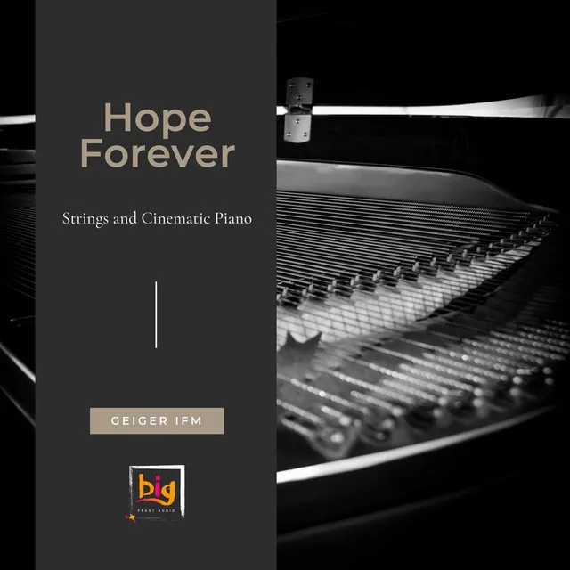 Hope Forever (Strings And Cinematic Piano) - Original Mix