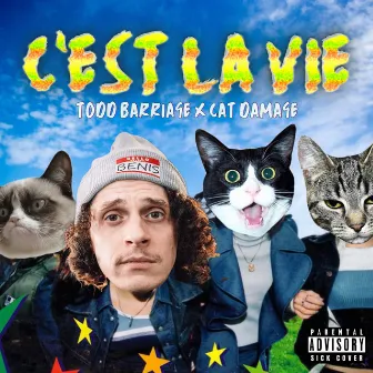 C'est La Vie by Cat Damage