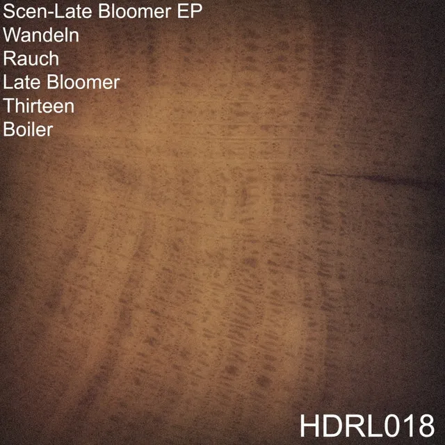 Late Bloomer - Original Mix