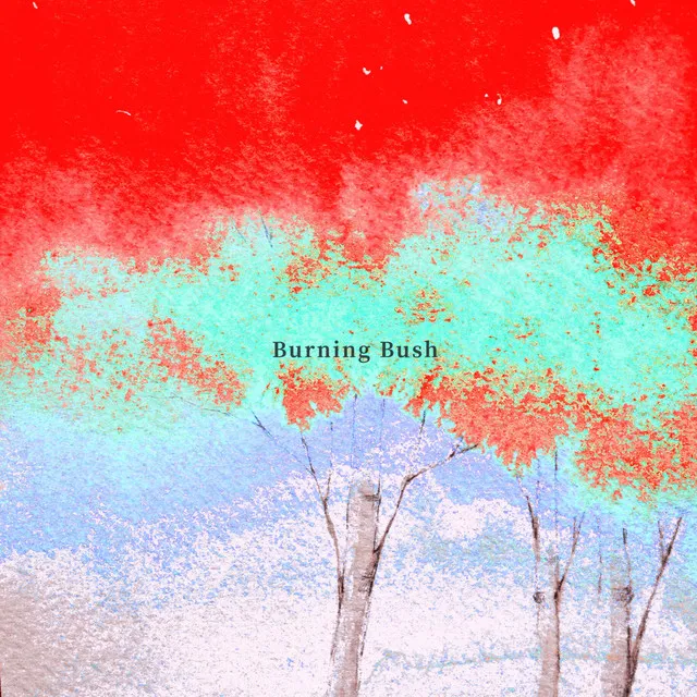 Burning Bush