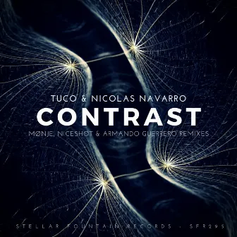 Contrast by Nicolas Navarro