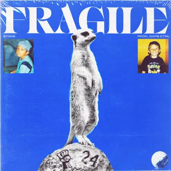 Fragile by Store