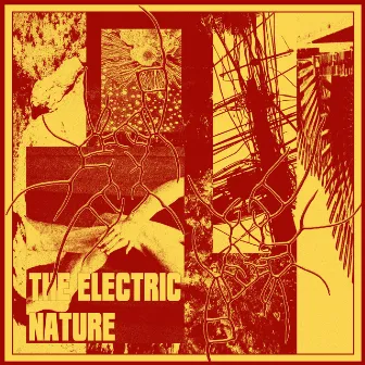 Plastic Mind by The Electric Nature