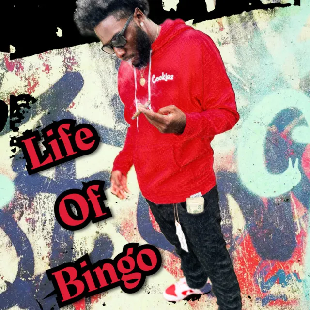 Life Of Bingo