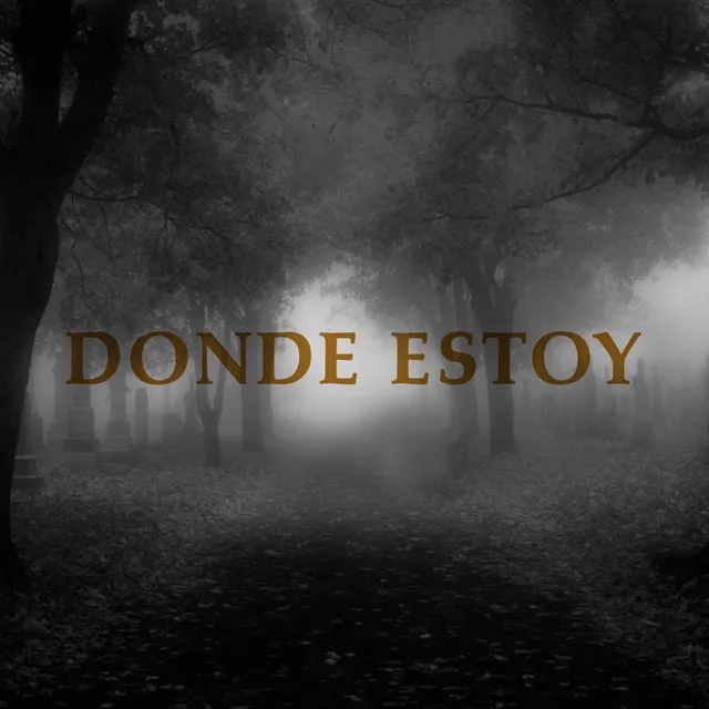 Donde Estoy