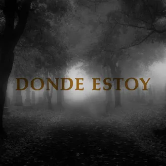 Donde Estoy by Revolucionario