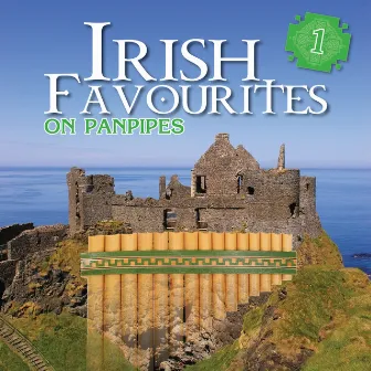 Irish Favourites Part 1 by Shane Maguire