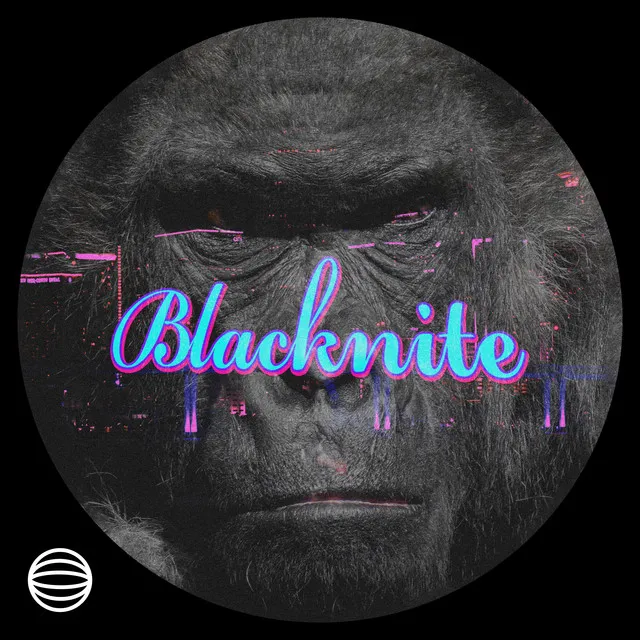 Blacknite - Dixout IV Harambé Remix