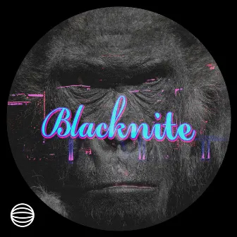 Blacknite (Dixout IV Harambé Remix) by sushiwavez