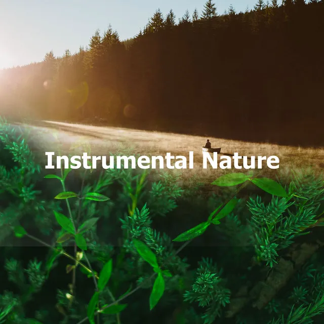 Instrumental Nature