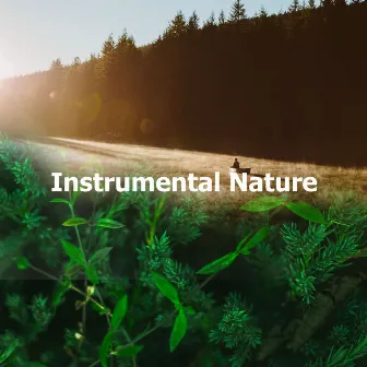 Instrumental Nature by Decidic FX