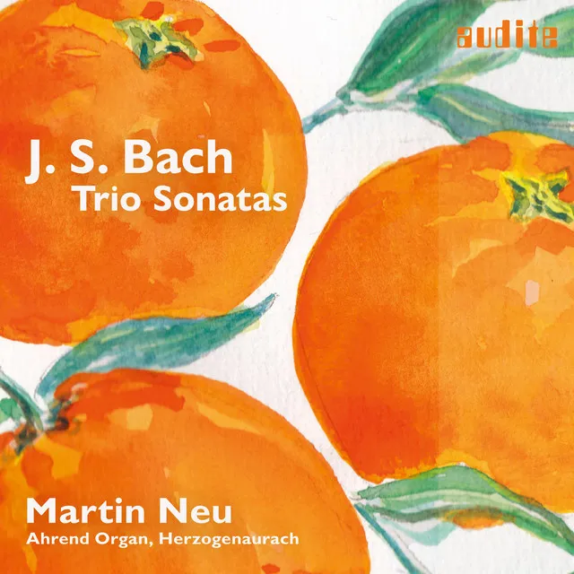 Trio Sonata No. 4 in E Minor, BWV 528: II. Andante