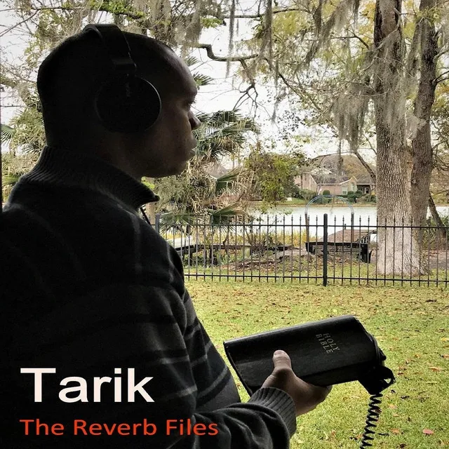 The Reverb Files