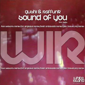 Sound Of You (The Remixes) by Gushi & Raffunk