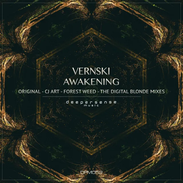 Awakening - CJ Art Remix