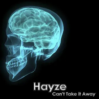 Can't Take It Away by Hayze