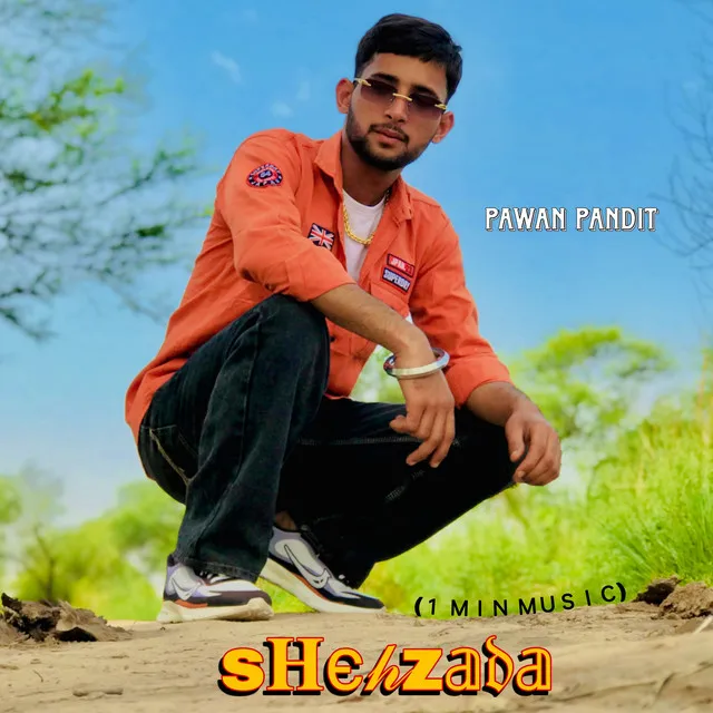 Shehzada-1 Min Music