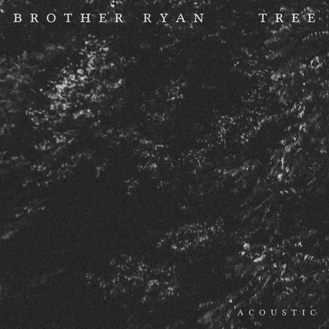 Tree (Acoustic)