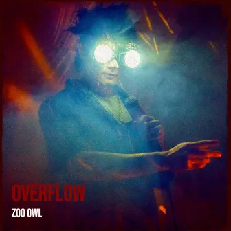 Overflow by Zoo Owl