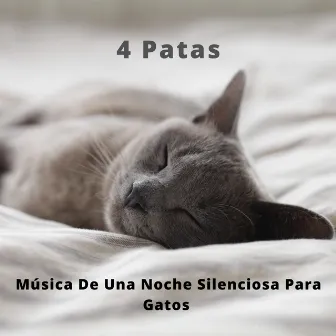 4 Patas: Música De Una Noche Silenciosa Para Gatos by Musicoterapia para gatos