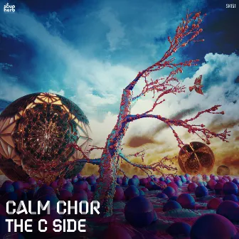 The C Side by Calm Chor