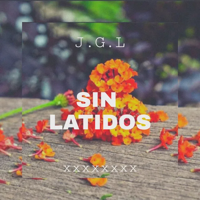 Sin Latidos