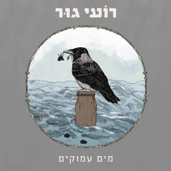 מים עמוקים by Roee Goor‎